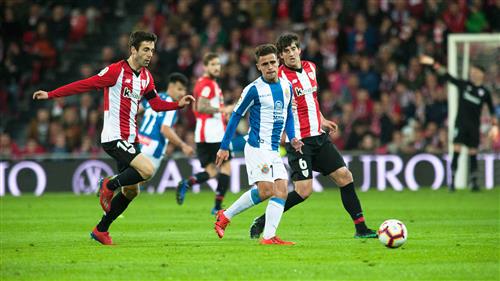 Master Bet36 Betting: Tips and Strategies